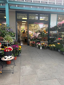 Blumen Blütenschön – Hamburg Eidelstedt