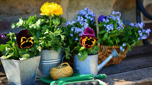 Gärtnerei Stefan Bauer / Blumen und Floristik