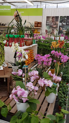 1A Garten Ammer - Gartencenter