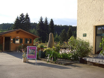 Baumschule/Gala-Bau Hechinger