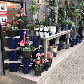 1A Garten Öller