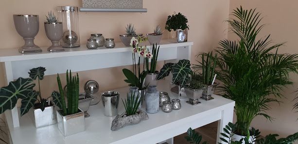 Blumen Zeides Gärtnerei & Floristik