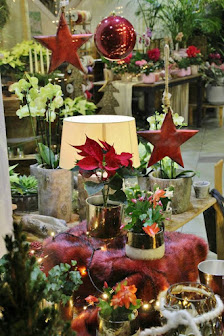 Blumen Zeides Gärtnerei & Floristik