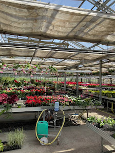 Blumen Amberger