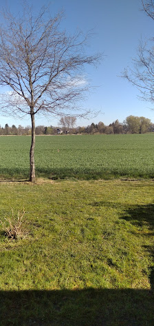 Garten- und Landschaftsbau E. Reimer Inh. Michael Brandt