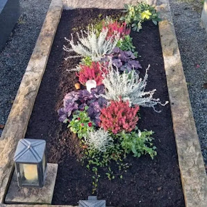 Blumen Bucher