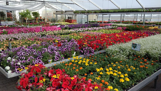 Blumen Pürzer