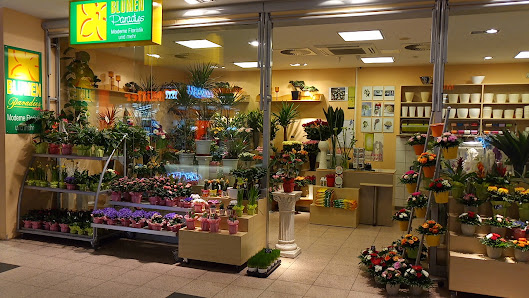 Blumen Paradies