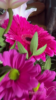 Blumen Paradies