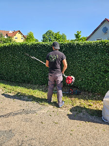 Alex Hausmeister & Gartenpflege