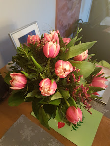 Lotos Blumen und Kunst