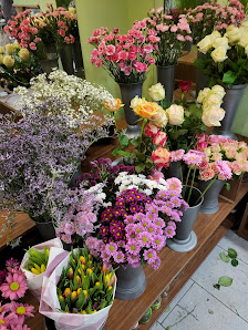 Blumen Atelier Irena Bram