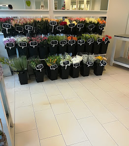 Fleur Holland Blumen