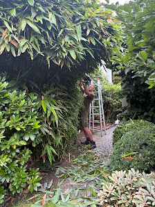Gartenbau Kirsch | Garten Landschaftsbau & Zaunbau
