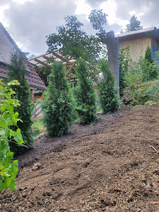 Gartenpflege Marius Prygoda