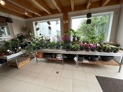 Kerstins Blumenstüberl