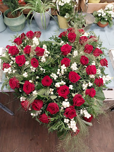 Blumen Nelles