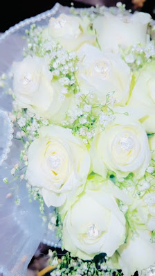 Blumen Nelles
