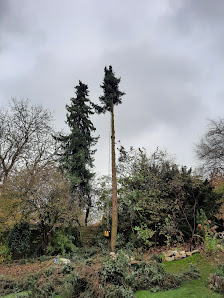 Baum- und Gartenpflege Daniel Bischof