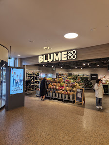 BLUME2000 Hamburg Elbe Einkaufszentrum
