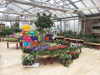 Gärtnerei Biller Blumen - Pflanzen - Floristik