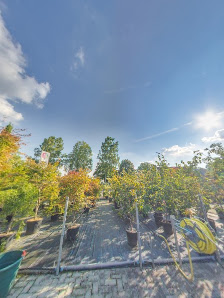 Majuntke GmbH Gärtner von Eden