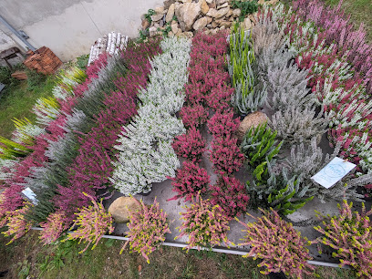 Blumenmarkt in Regenstauf