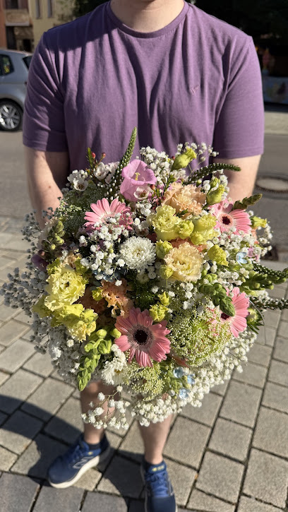 Schmucker Blumen & Pflanzen GmbH