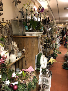 Blumenwerkstatt Wiethaler Doris