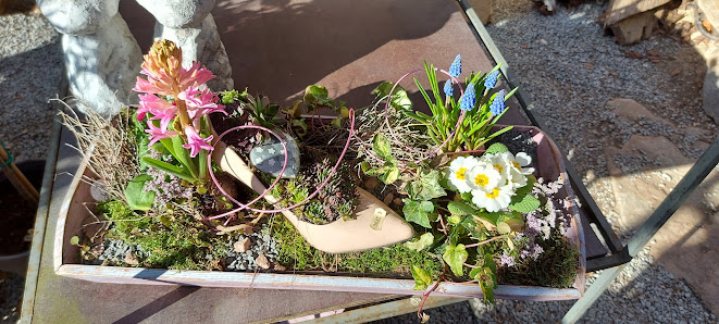 Blumenwerkstatt Wiethaler Doris