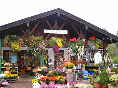 BAUMEISTER Blumen & Pflanzen
