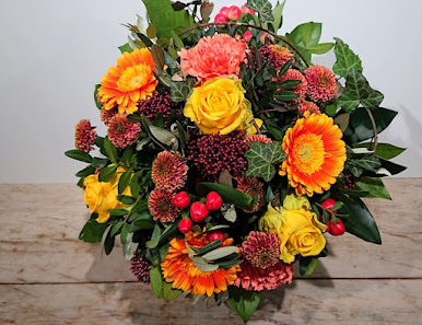 BAUMEISTER Blumen & Pflanzen