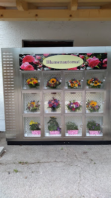 Blumenstüberl Stephanie Steinberger