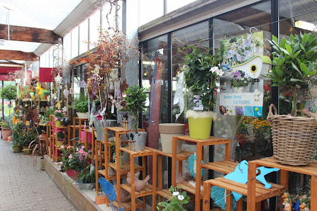 Blumen & Floristik Pesth Neutraubling