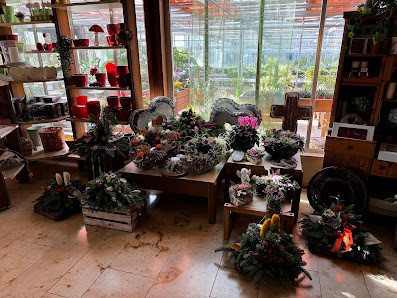 Blumen Weinberger