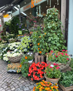 Blumen und Ambiente Ralf Keuneke