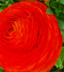 Gartenbau und Floristik Birkl
