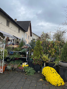 forstflor