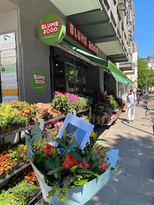 BLUME2000 Hamburg Grindelallee