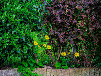 Flo's Gartenservice