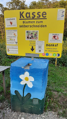 Ammersee Blumen Pflücken