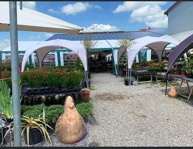 Flowerpoint Schongau Gärtnerei Pflanzen