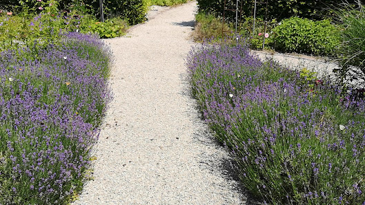 Geier's Gartenpark Flora