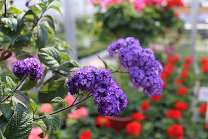Gartenbauer