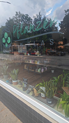 Pflanzen-im-Glas