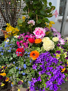 Blumen Nösner