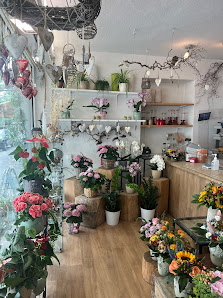 Blumen Nösner