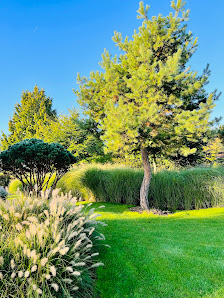 Eisl Garten- und Landschaftsbau GmbH