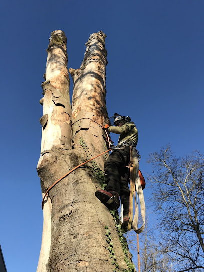 Betrieb für Baumarbeiten