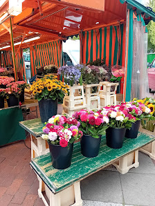 Blumenhandel Inge von Seelen